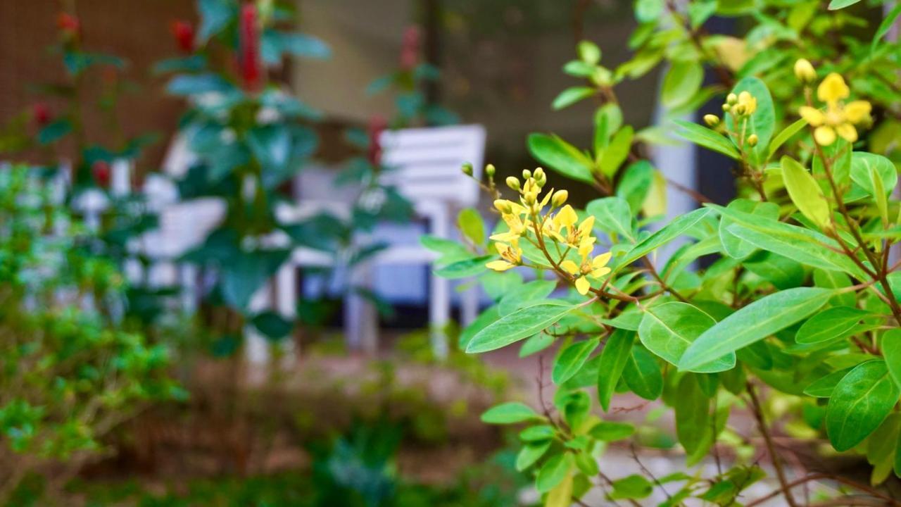 Canary Bungalow Phú Quý Zewnętrze zdjęcie